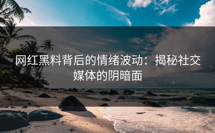网红黑料背后的情绪波动：揭秘社交媒体的阴暗面