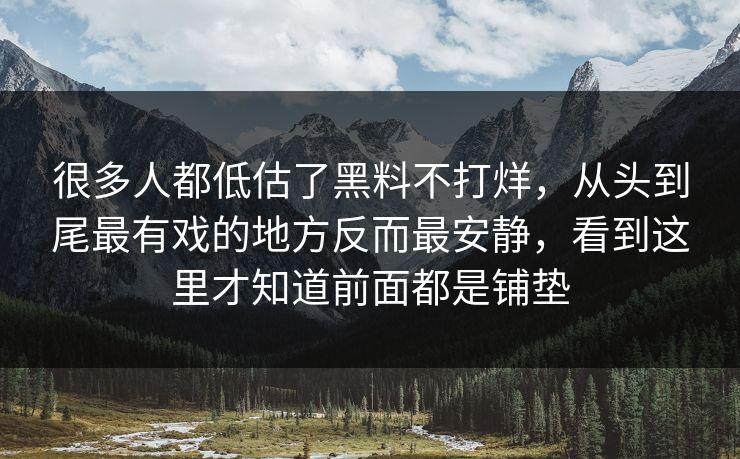 很多人都低估了黑料不打烊，从头到尾最有戏的地方反而最安静，看到这里才知道前面都是铺垫
