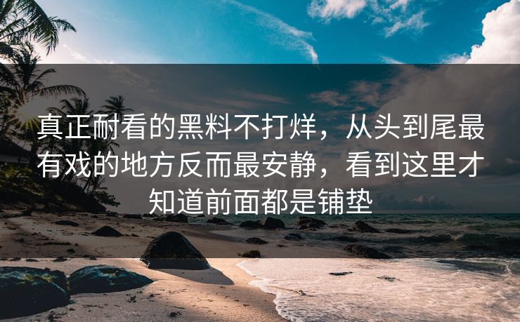 真正耐看的黑料不打烊，从头到尾最有戏的地方反而最安静，看到这里才知道前面都是铺垫