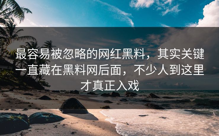 最容易被忽略的网红黑料，其实关键一直藏在黑料网后面，不少人到这里才真正入戏