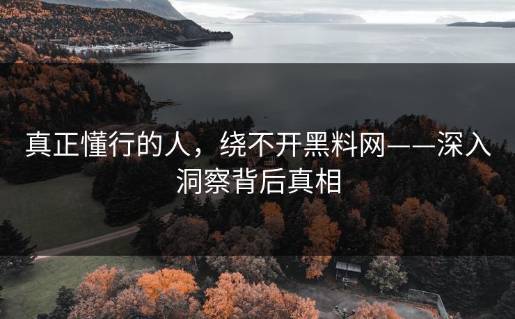 真正懂行的人，绕不开黑料网——深入洞察背后真相