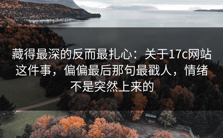 藏得最深的反而最扎心：关于17c网站这件事，偏偏最后那句最戳人，情绪不是突然上来的