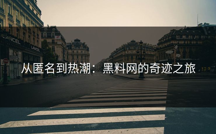 从匿名到热潮：黑料网的奇迹之旅